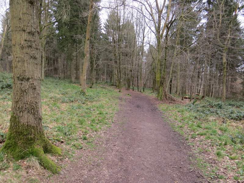 Pete's Walks Cowleaze Wood and Radnage (page 1 of 6)